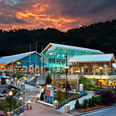 The Solstice - Amenities Galore Mountain Retreat Gatlinburg Kültér fotó